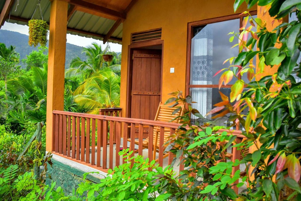 Rainforest Nature House Денияя Екстериор снимка