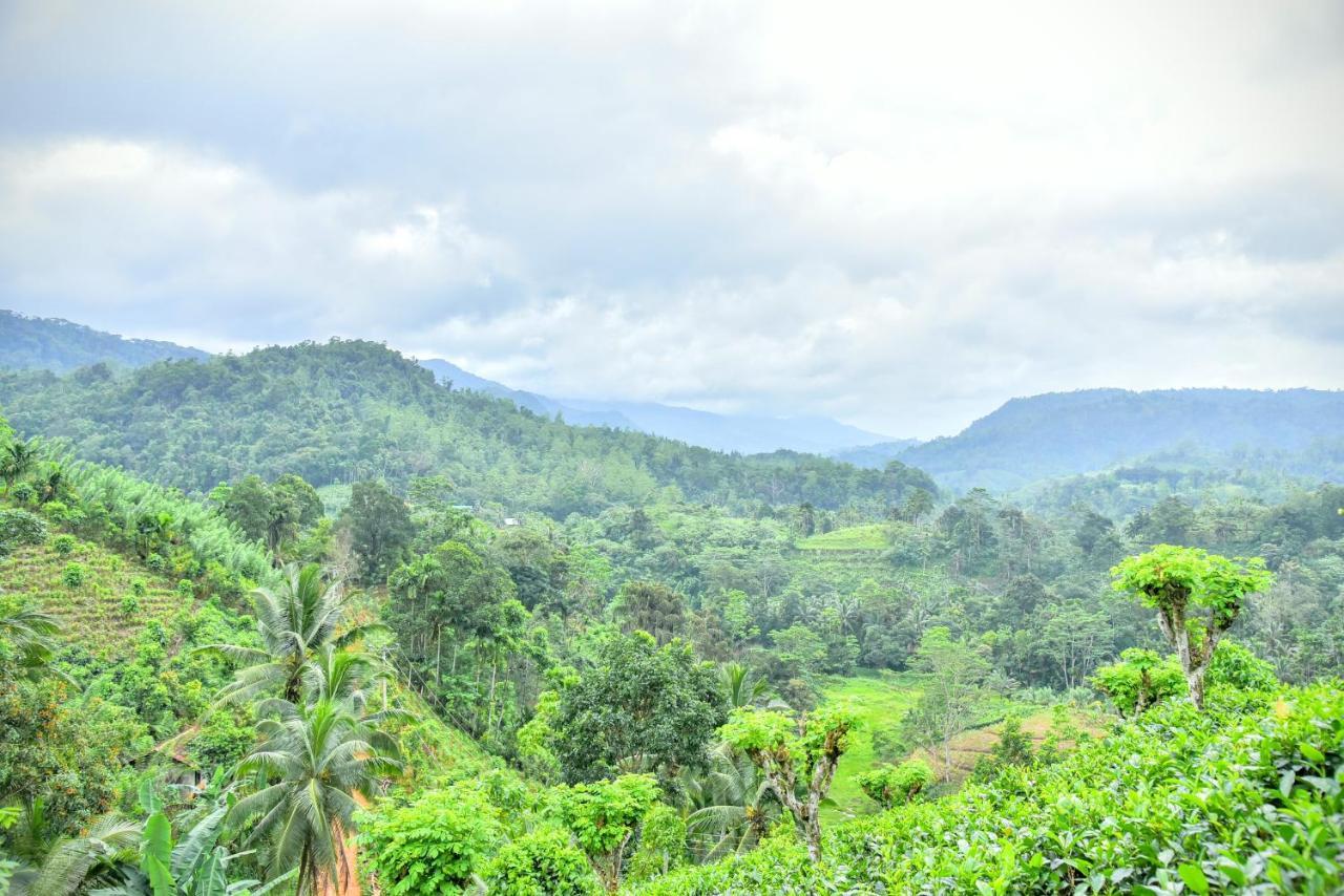 Rainforest Nature House Денияя Екстериор снимка