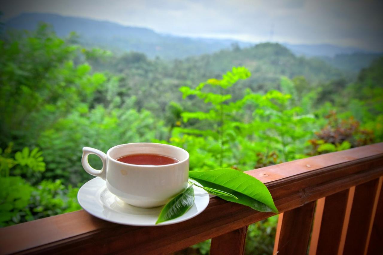 Rainforest Nature House Денияя Екстериор снимка
