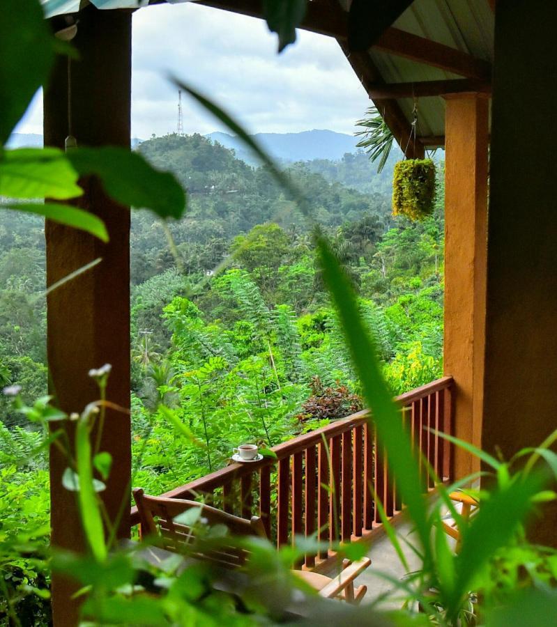 Rainforest Nature House Денияя Екстериор снимка