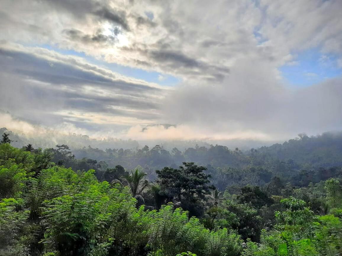 Rainforest Nature House Денияя Екстериор снимка