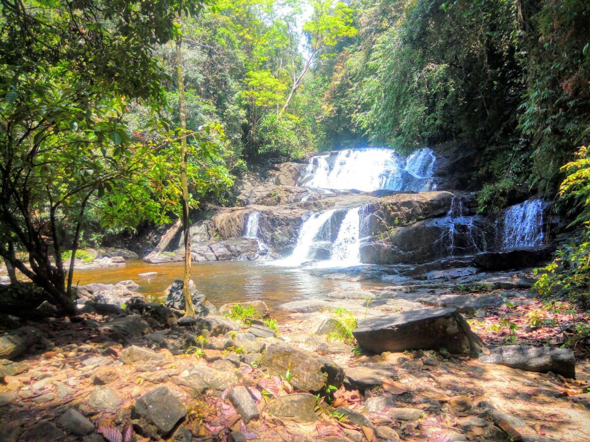 Rainforest Nature House Денияя Екстериор снимка