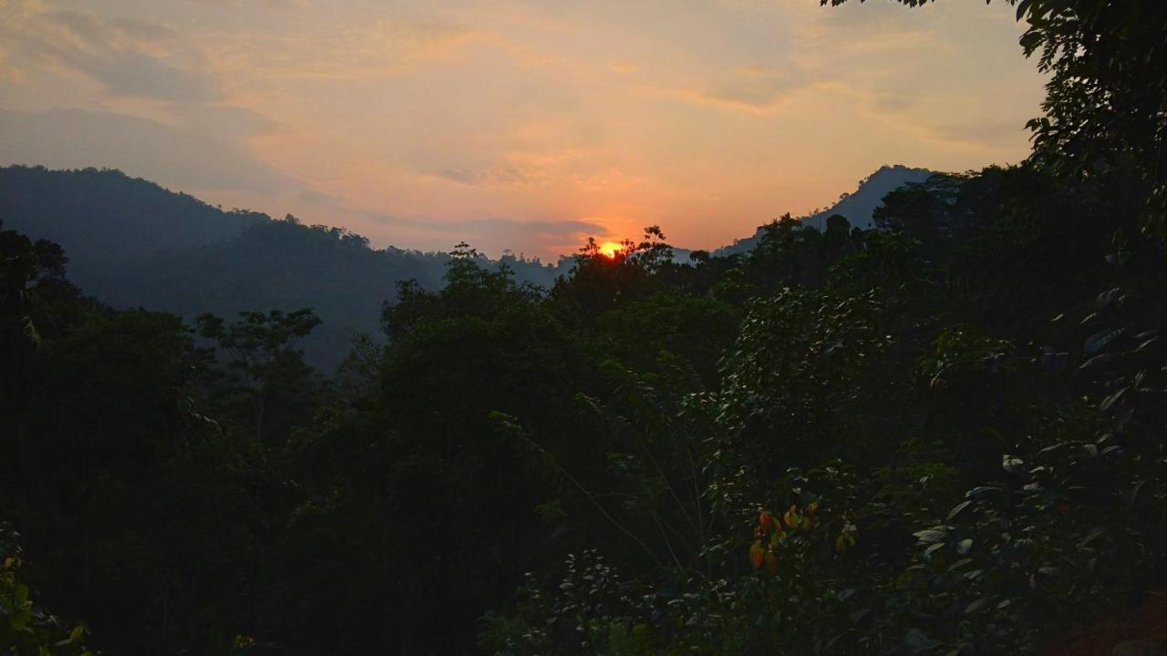 Rainforest Nature House Денияя Екстериор снимка
