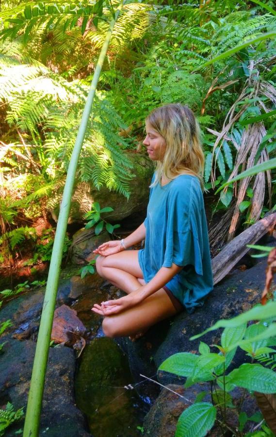 Rainforest Nature House Денияя Екстериор снимка