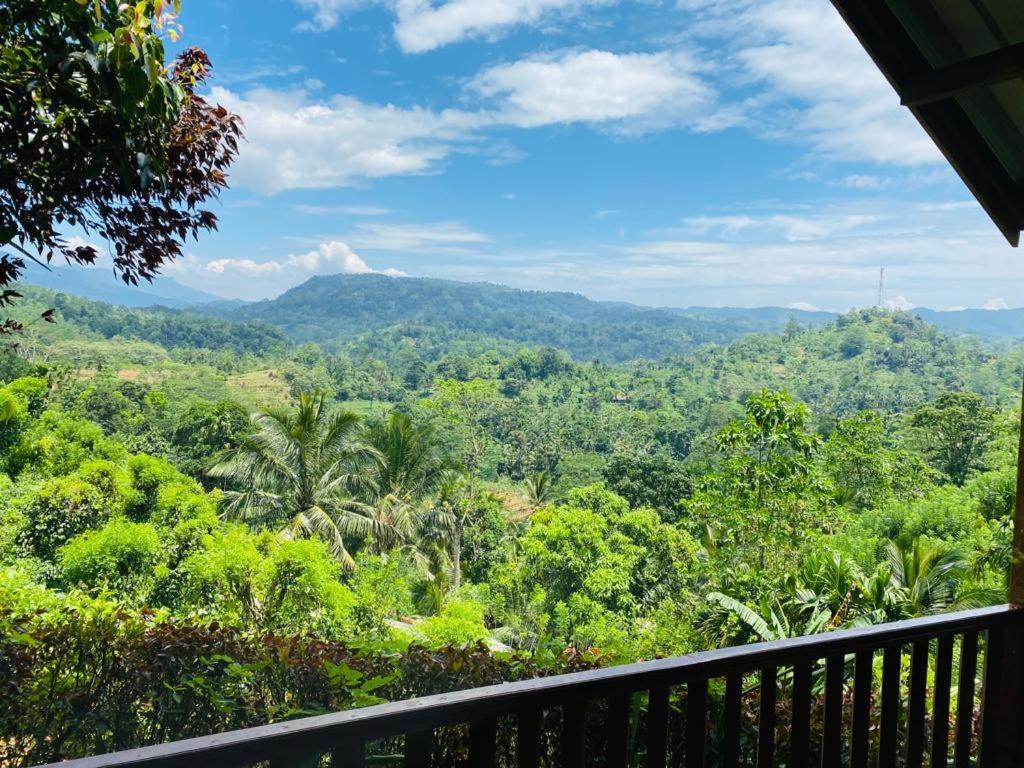 Rainforest Nature House Денияя Екстериор снимка