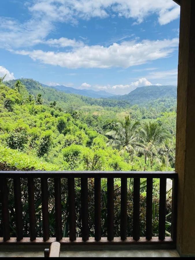Rainforest Nature House Денияя Екстериор снимка
