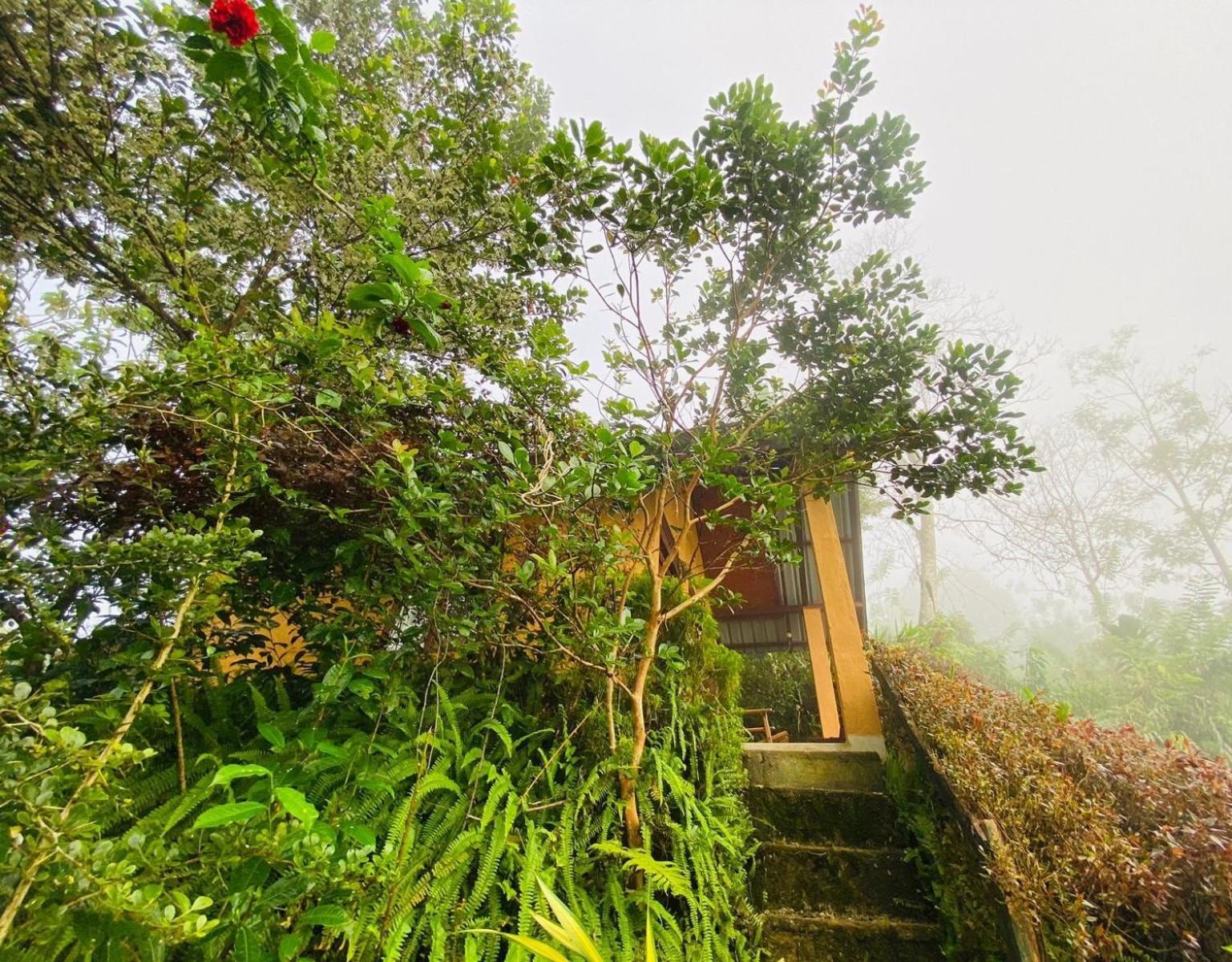 Rainforest Nature House Денияя Стая снимка