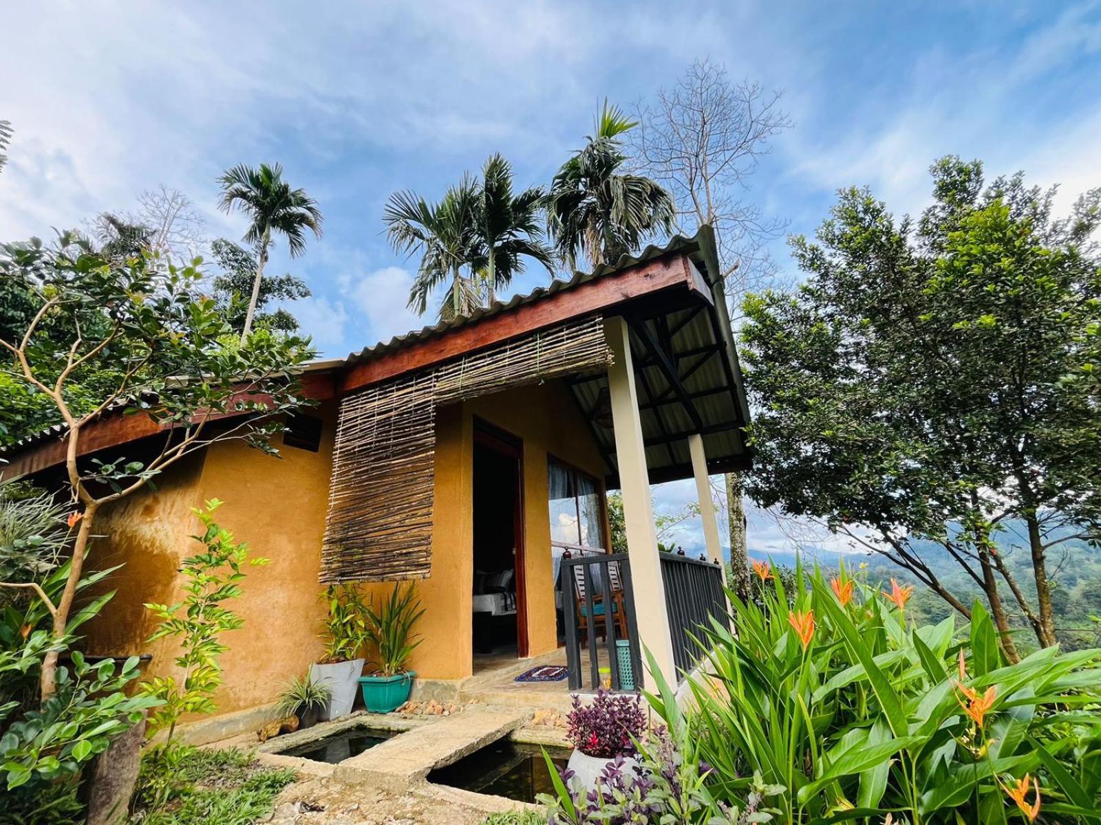 Rainforest Nature House Денияя Стая снимка