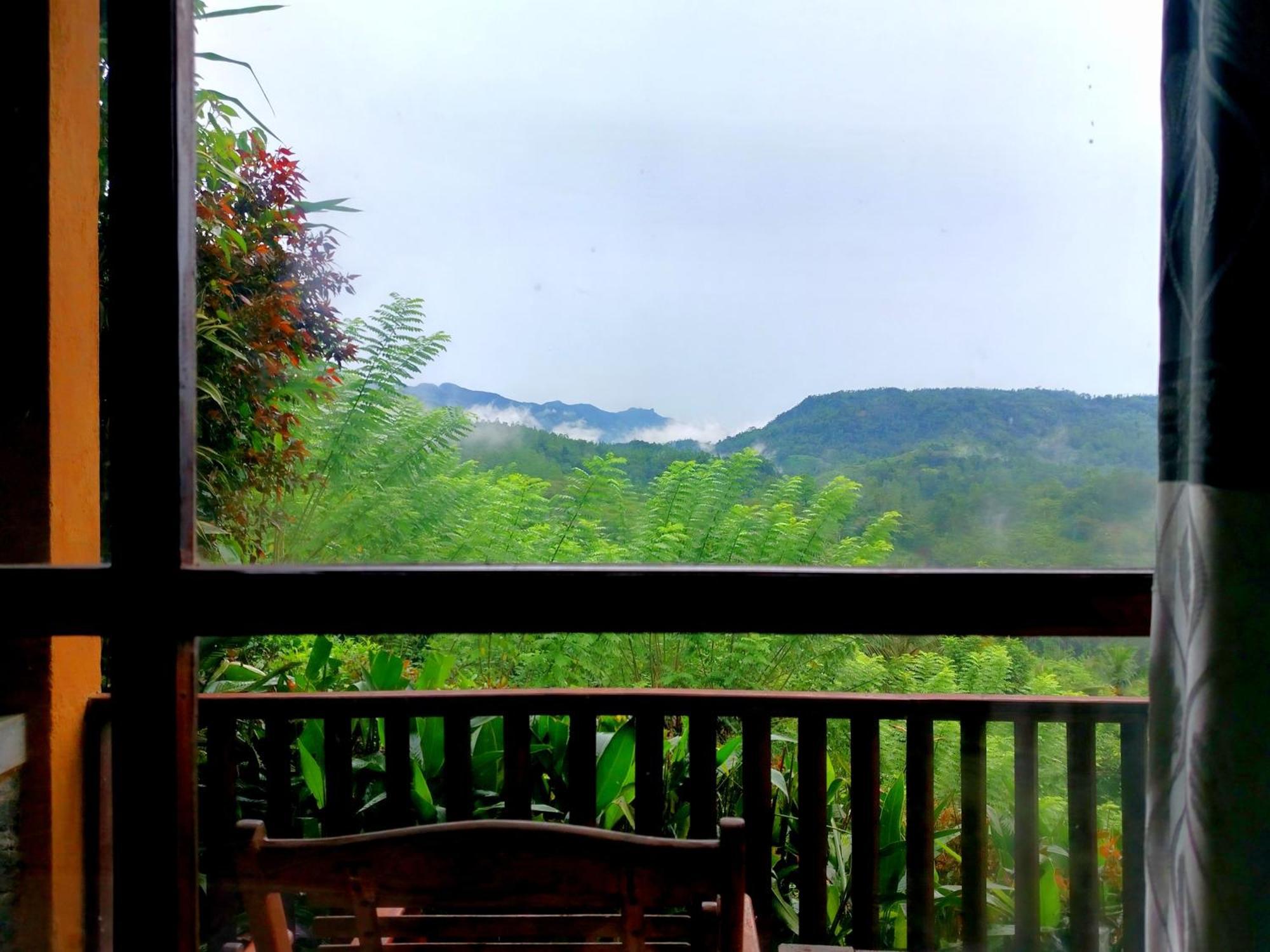Rainforest Nature House Денияя Стая снимка